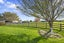 68D Tuparekura Road, Helensville - Carousel 28