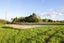 126B Woodcock Road, Tamahere, Hamilton - Carousel 22