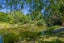 323 Reid Line, Bunnythorpe - Carousel 45