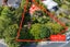 56 Atkinson Road, Titirangi, Auckland - Carousel 1