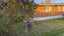 12 Anthony Crescent, Bader, Hamilton - Carousel 4