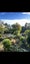 10 MacPherson Street, Meadowbank, Auckland - Carousel 10