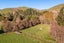 1437 Ormondville Te Uri Road, Te Uri, Dannevirke - Carousel 23