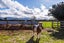 3307 State Highway 2, Clareville, Carterton - Carousel 27