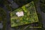 94 Wood Bay Road, Titirangi, Auckland - Carousel 1