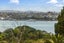 11 Calder Place, Glen Innes, Auckland - Carousel 19