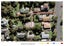 145 Whitney Street, Blockhouse Bay, Auckland - Carousel 7