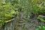 103 North Cove, KAWAU ISLAND, Kawau Island - Carousel 9