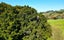 1115 Horeke Road, Okaihau - Carousel 24