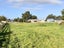 39 Elles Road, Otautau, Otautau - Carousel 18