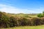 6B Marjorie Lane, Papamoa Beach, Papamoa - Carousel 12