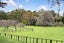 35 Rawhiti Road, One Tree Hill, Auckland City, Auckland - Carousel 13