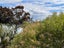 2/20 Ngapipi Road, Orakei, Auckland - Carousel 10