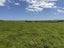 0 Greenhill Road, RUAWAI, RUAWAI - Carousel 4