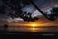 2/3 Tiri View Place, Waiake, Auckland - Carousel 12