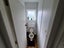 76 Bruce Avenue, Glenview, Hamilton - Carousel 7