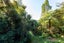 14 Opou Road, Titirangi, Auckland - Carousel 21