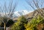 49 Sylvan Street, Lake Hayes, Queenstown - Carousel 17
