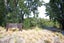 232 Lake Terrace Road, Shirley, Christchurch - Carousel 22