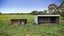 265 Weedons Ross Road, Christchurch - Carousel 20