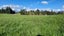 75 Creek Road, Allenton, Ashburton - Carousel 2