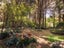 149 Old Hautere Road, Hautere, Otaki - Carousel 5