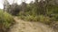 0 Bute Rd, Mangapakeha, Masterton - Carousel 10