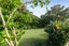 73A Shore Road, Remuera, Auckland - Carousel 26