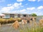 158 Mornington Road, Kenmure, Dunedin - Carousel 26