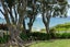 80 Opito Bay Road, Opito Bay, Whitianga - Carousel 6