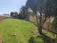 7 Gibson Street, Ross - Carousel 29