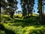 0 Ruatiti Rd, Ruatiti - Carousel 9