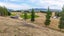 390C Letts Gully Road, Letts Gully, Alexandra - Carousel 24