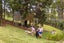 277 Cames Road, Wellsford - Carousel 16