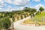 36 Atkin Road, Kaiwaka - Carousel 33
