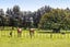 200 Paraite Road, Paraite, New Plymouth - Carousel 1