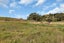 1754 Ararua Road, Matakohe - Carousel 10