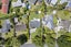 10 Vandeleur Avenue, Birkdale, Auckland - Carousel 21