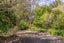 96 Chester Road, Clareville, Carterton - Carousel 18