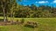 76 Brookdale Road, Albany - Carousel 6