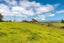 7 Dorset Road, Hillsborough, New Plymouth - Carousel 6