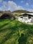 99 McPike Road, Waimauku, Waimauku - Carousel 1