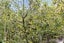 6388A South Road, Pungarehu, Opunake - Carousel 25