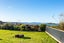 203 Moturata Road, Brighton - Carousel 28