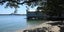 1/39 Sentinel Road, Herne Bay, Auckland - Carousel 17