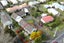 1/101 Swanson Road, Henderson, Auckland - Carousel 19