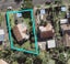 26 Konini Road, Greenlane, Auckland City, Auckland - Carousel 4