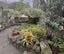 32 Sherbourne Road, Mount Eden, Auckland - Carousel 9