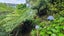 0 Cable Bay Block Road, Cable Bay, Cable Bay - Carousel 15