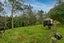 87 Pukekauri Road, Waikino, Waihi - Carousel 8